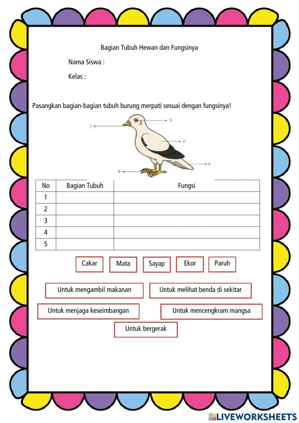 Bagian Tubuh Hewan dan Fungsinya