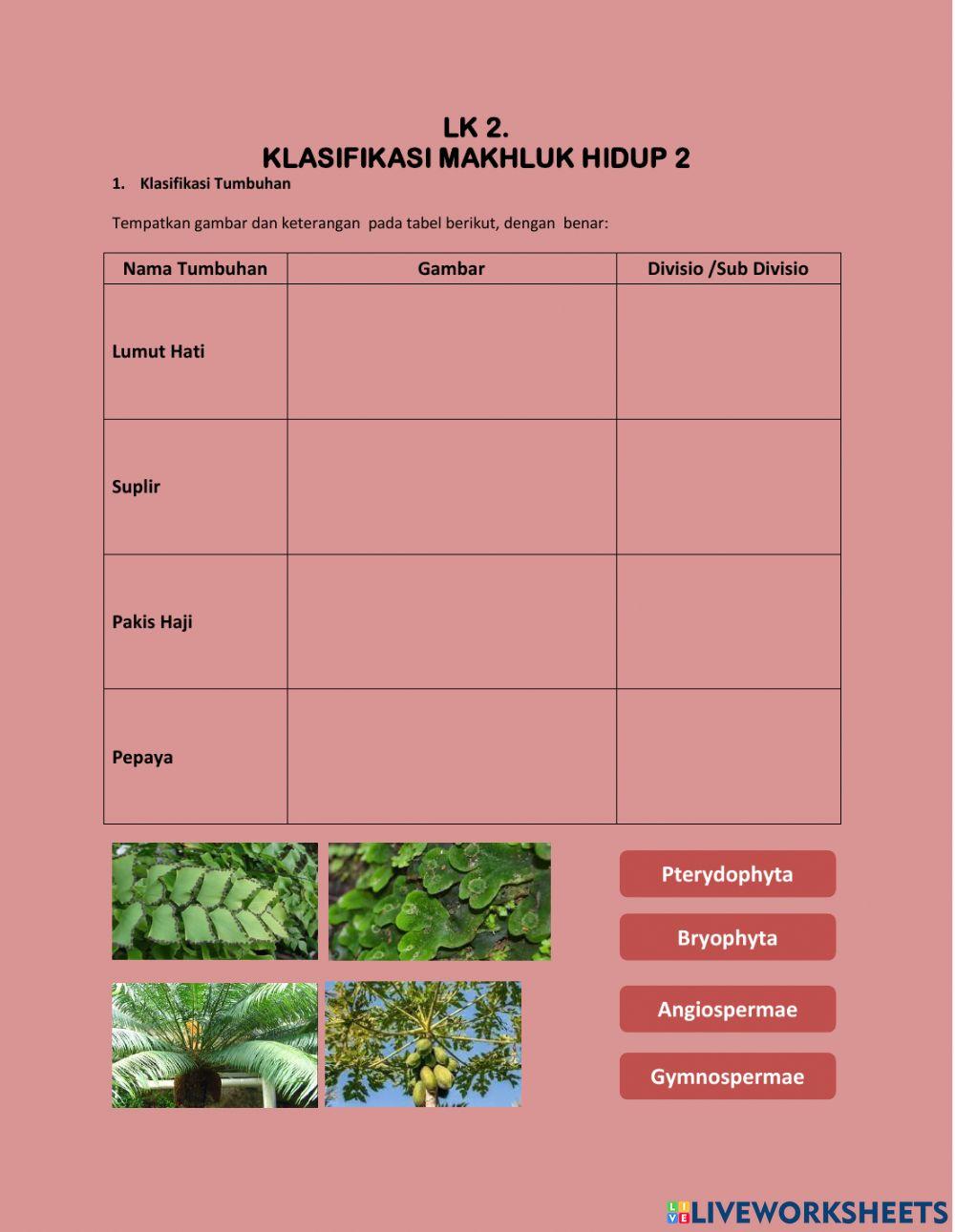 Klasifikasi Tumbuhan dan Hewan