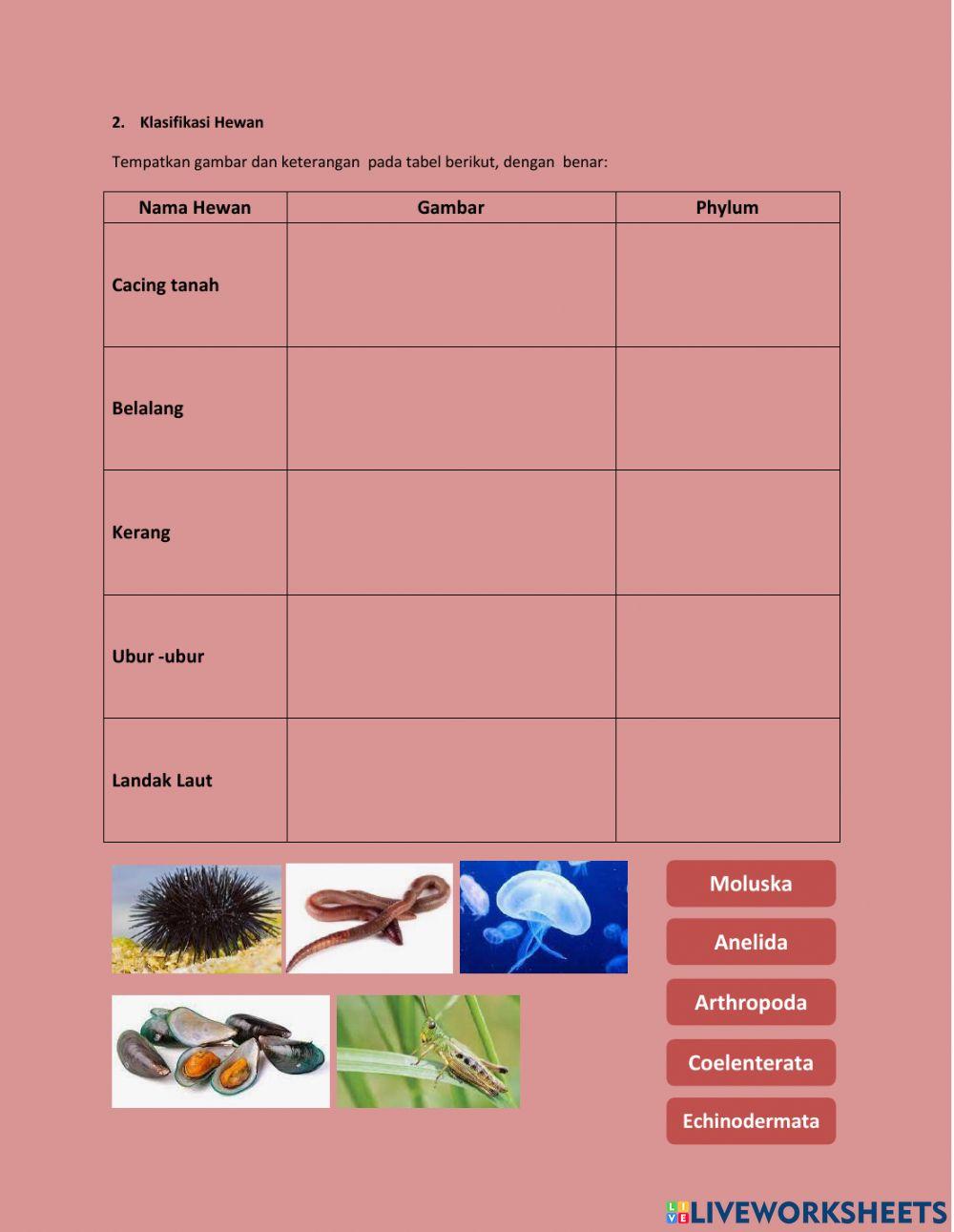 Klasifikasi Tumbuhan dan Hewan