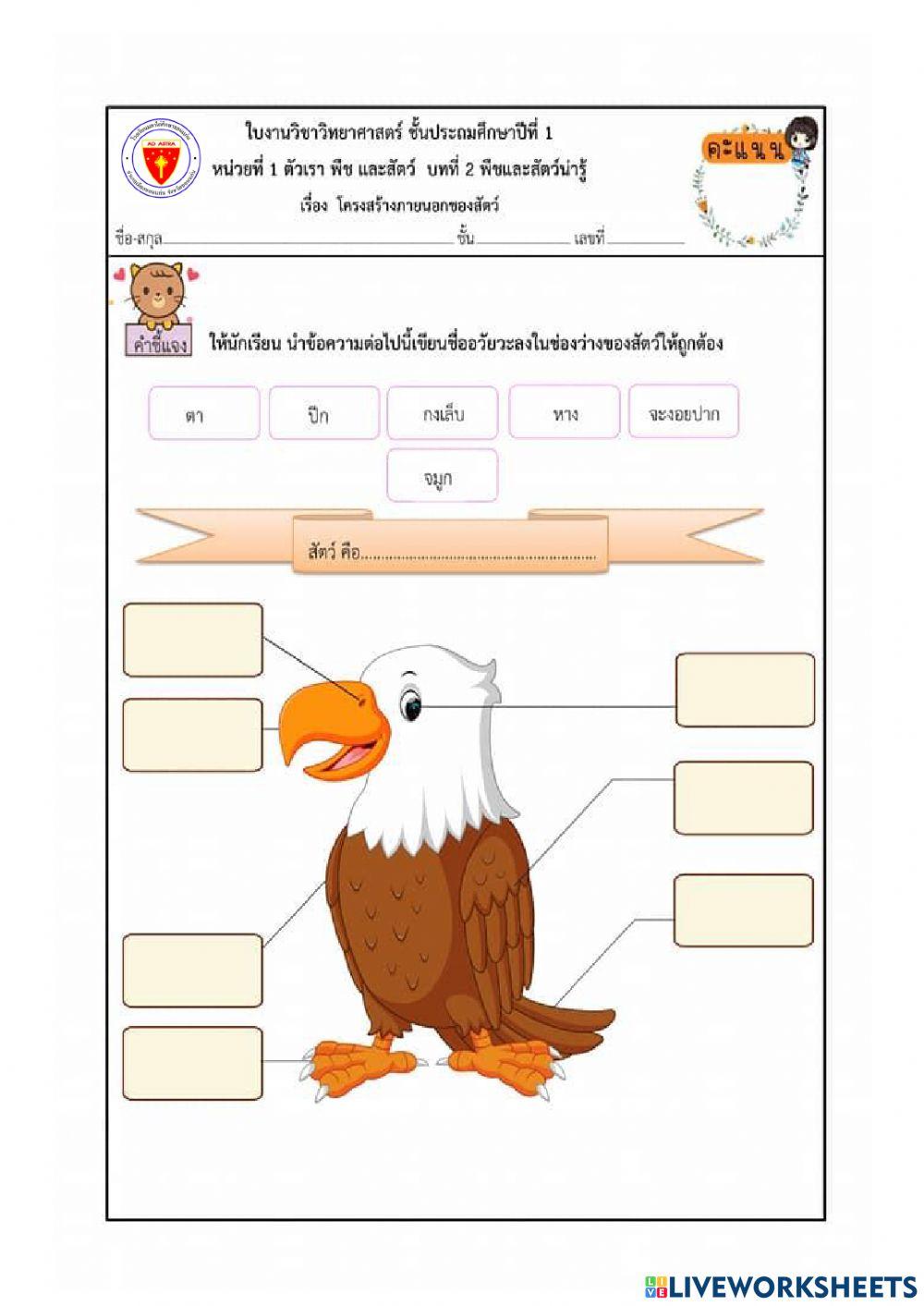 วิทยาศาสตร์ป.1 สัตว์