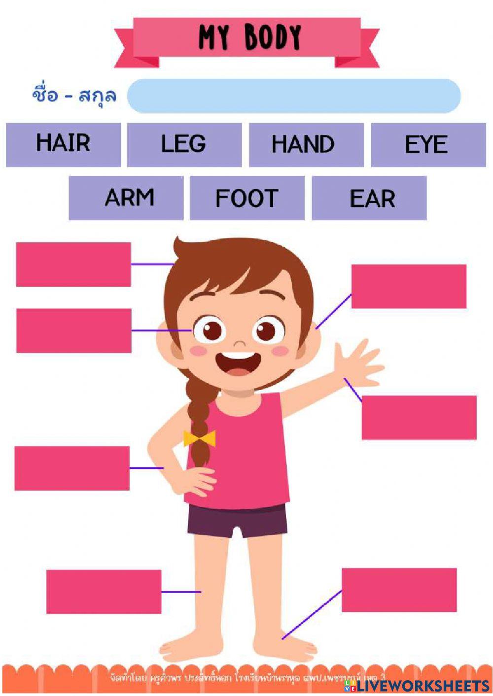 ใบงานจับคู่คำศัพท์