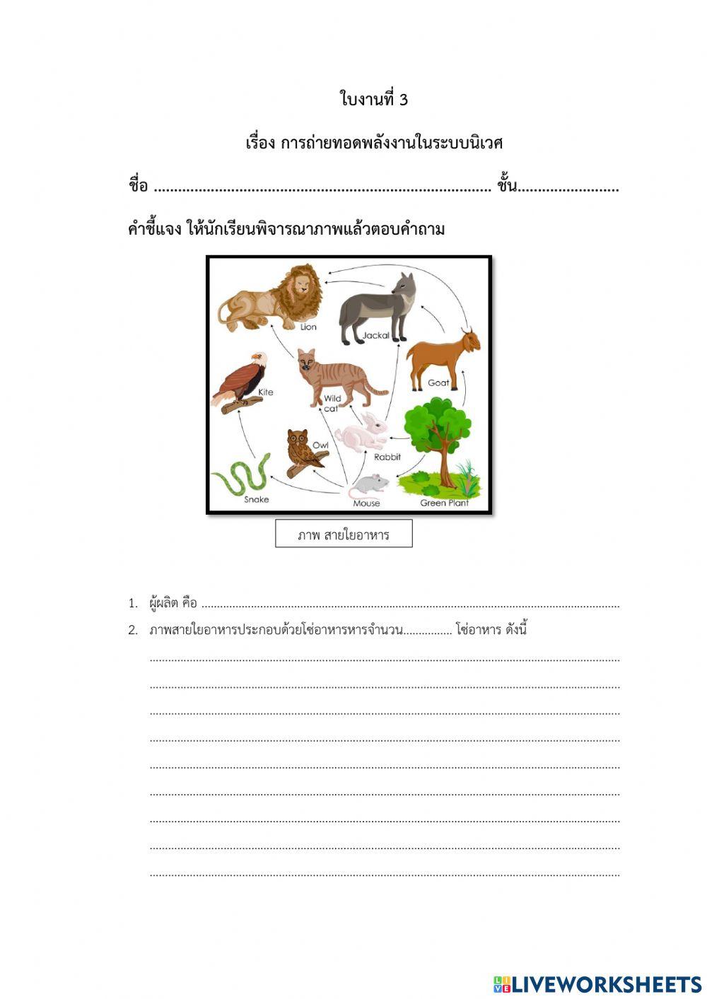 ห่วงโซ่อาหาร