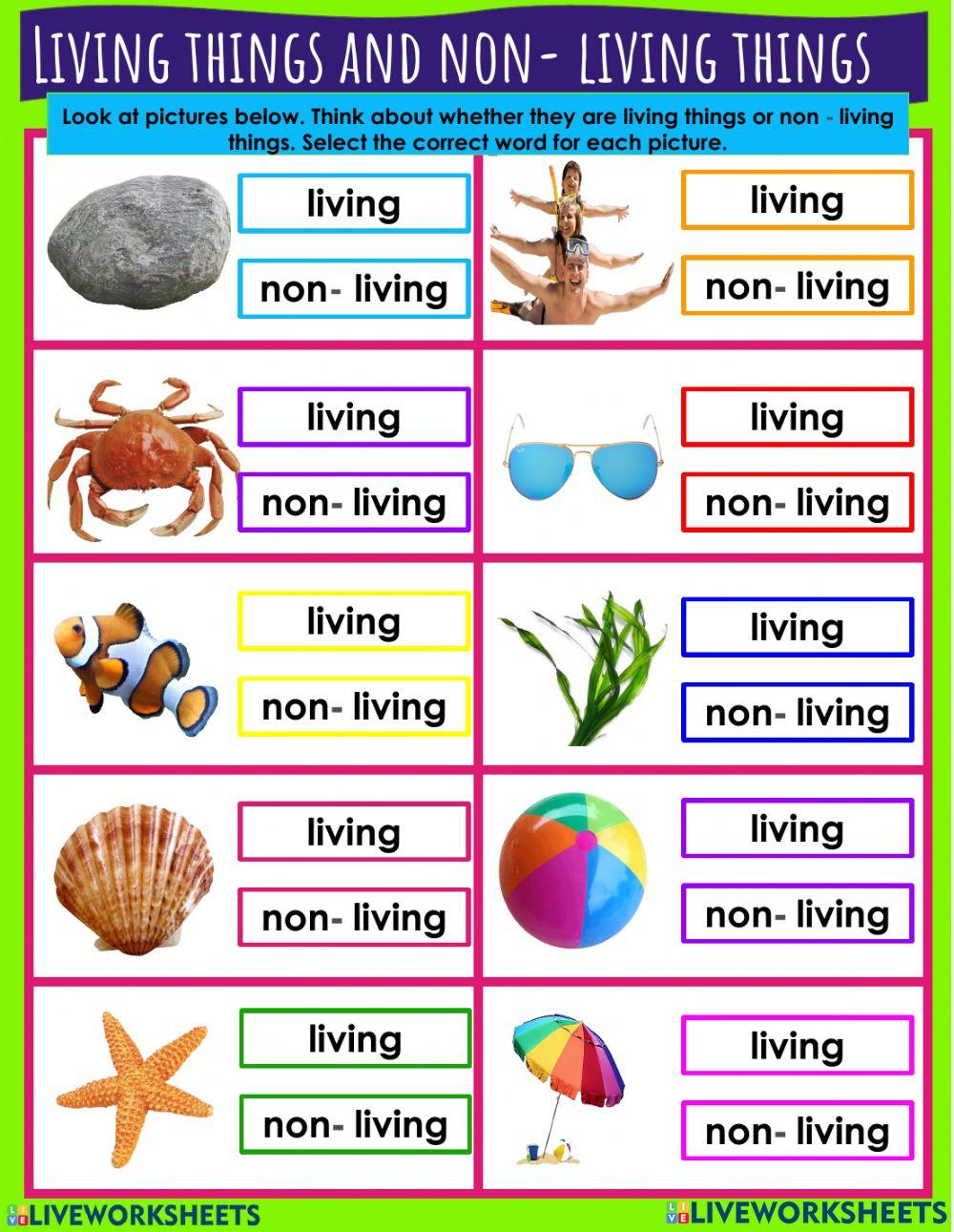 Living things and non living things