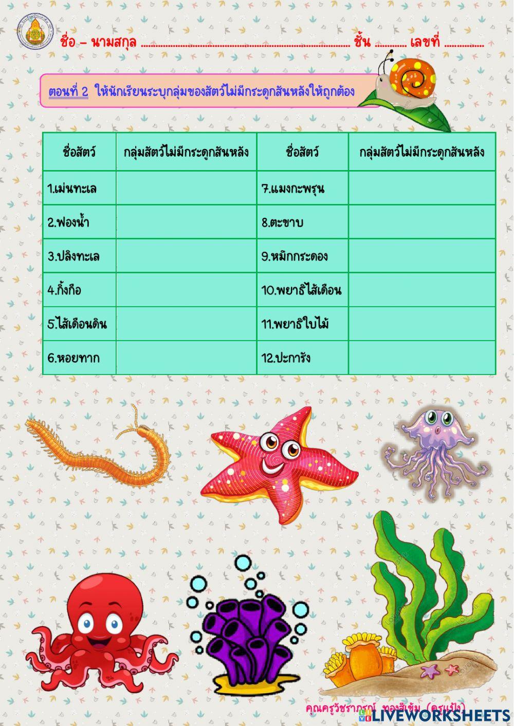 สัตว์ไม่มีกระดูกสันหลัง