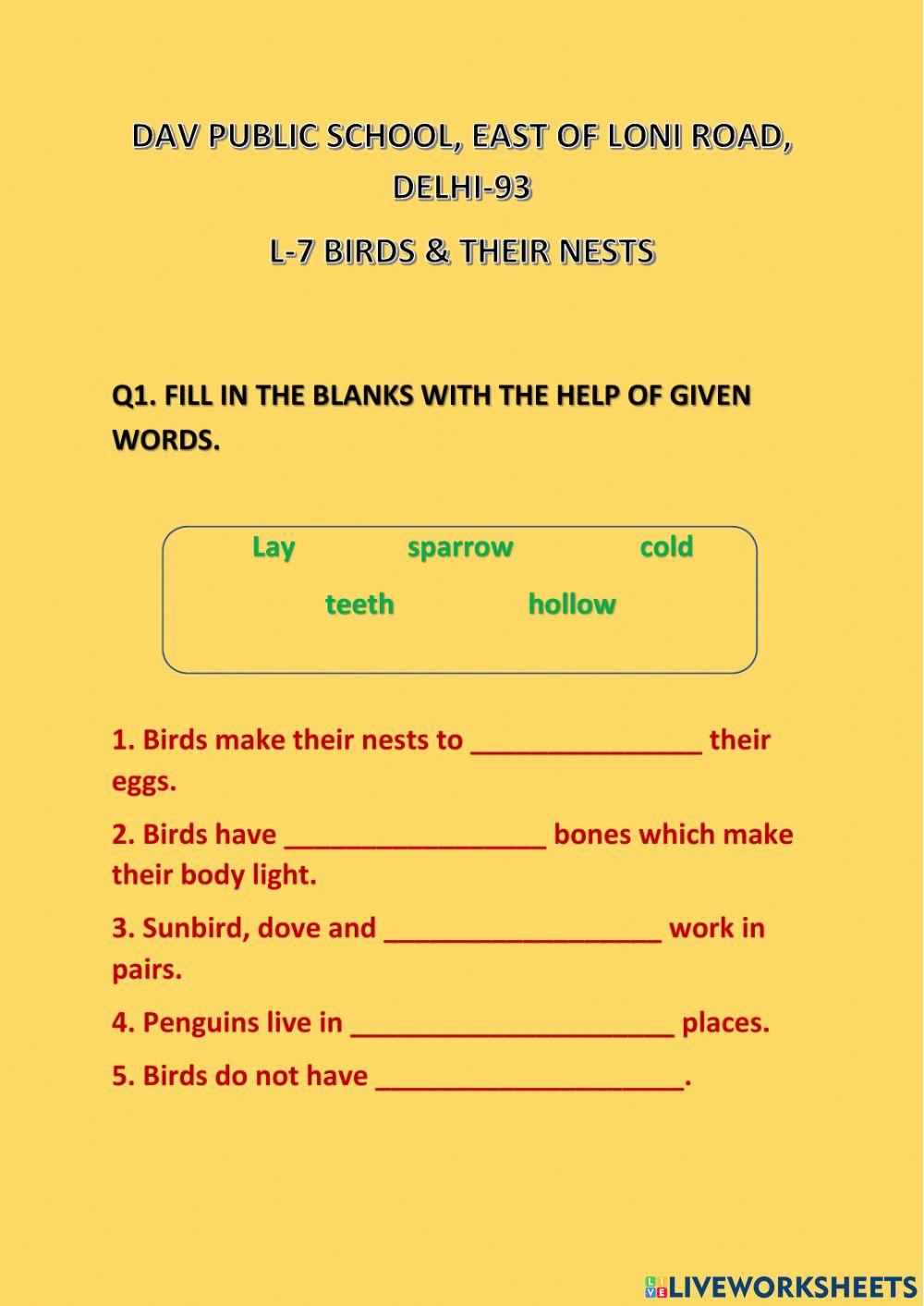 L-7 Birds & Their Nests