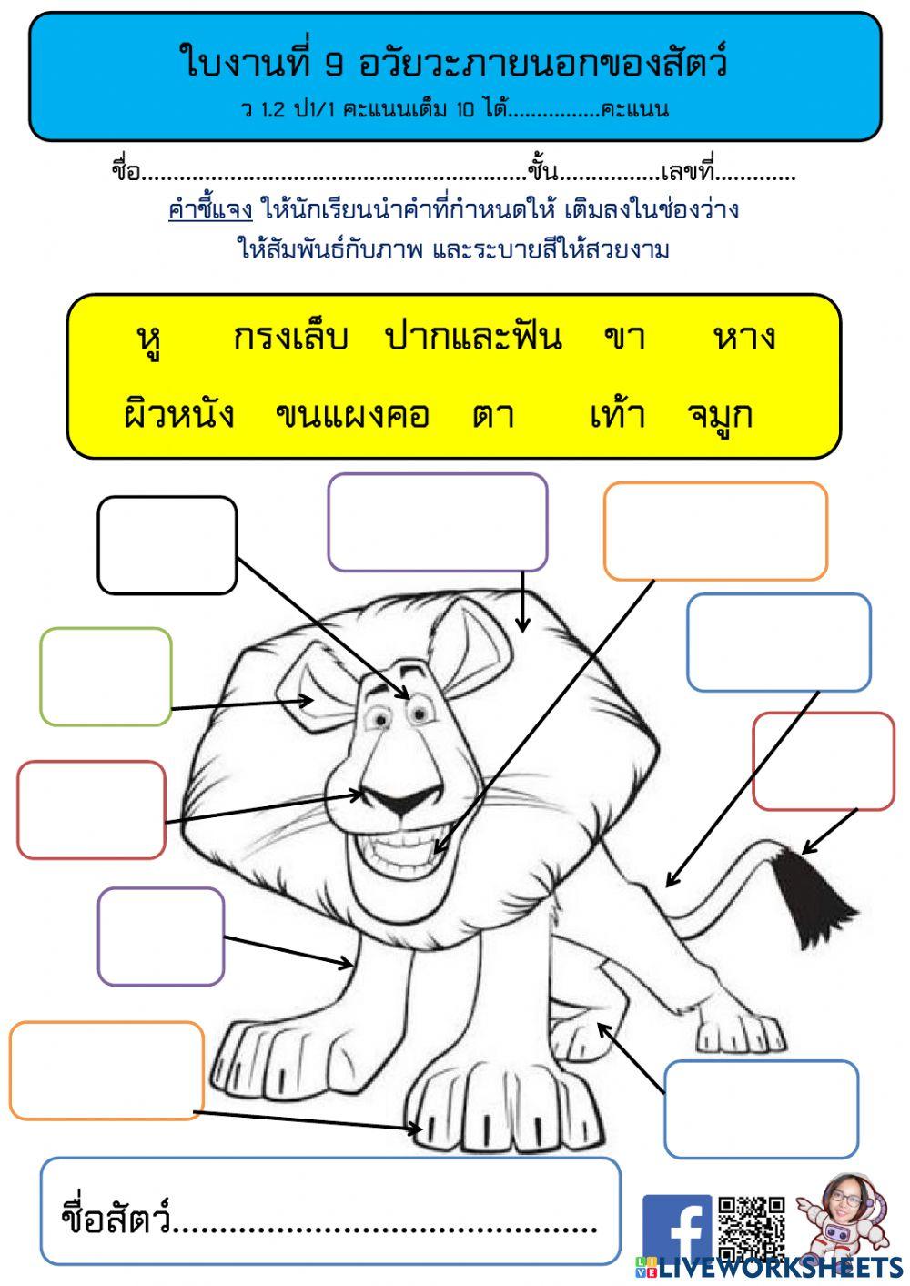 อวัยวะภายนอกของสัตว์