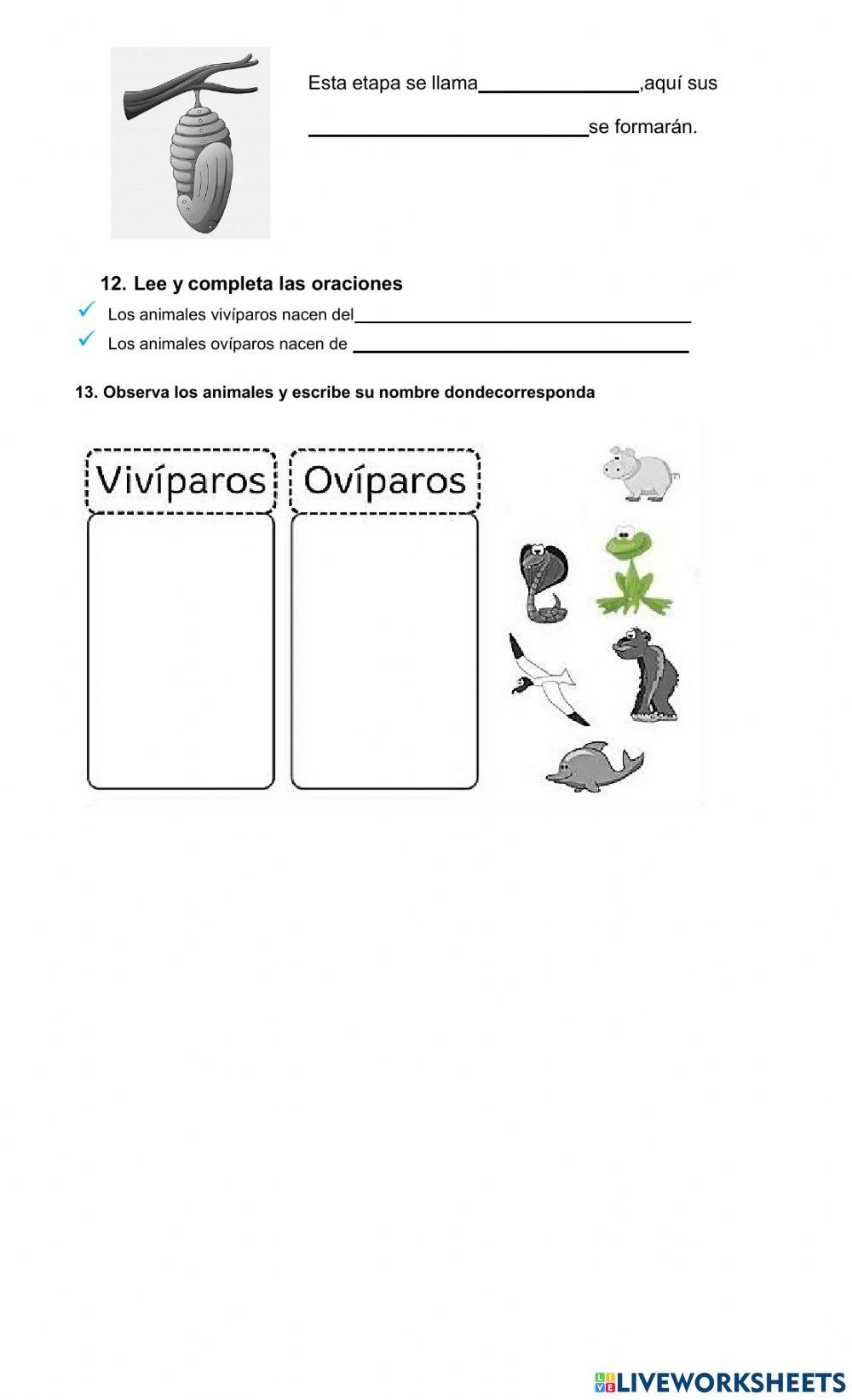 Bimestral primero III