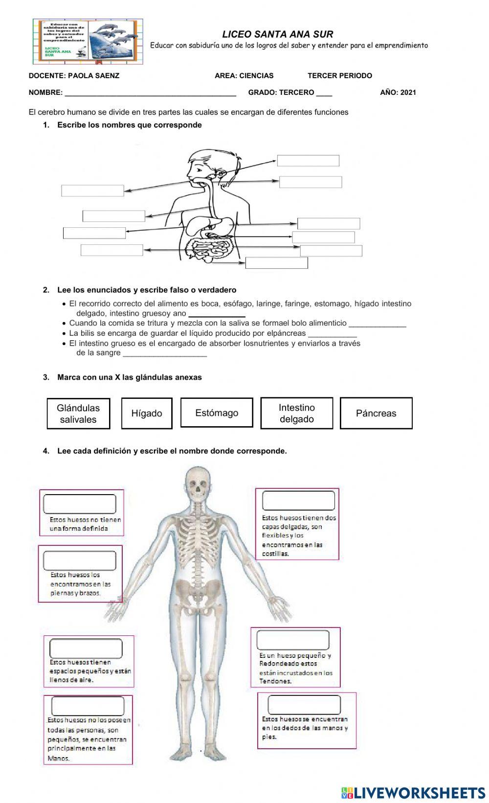 Bimestral tercero III