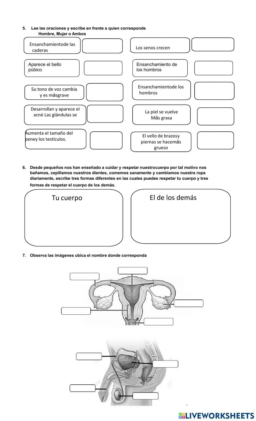Bimestral tercero III