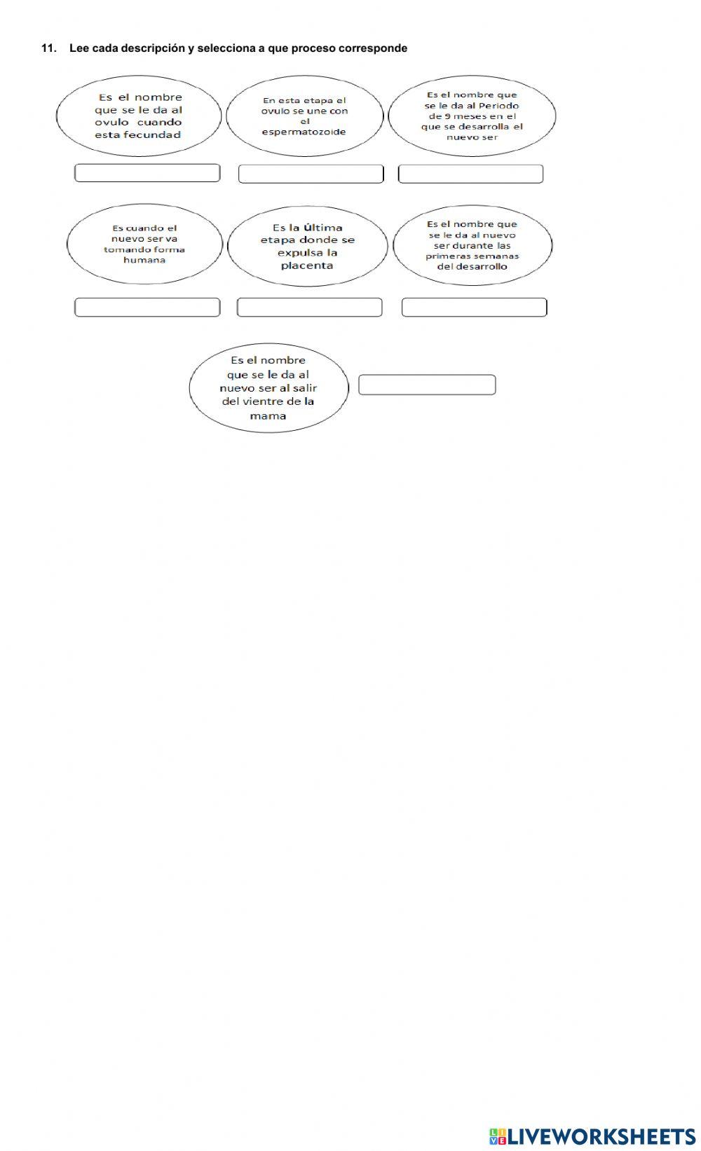 Bimestral tercero III