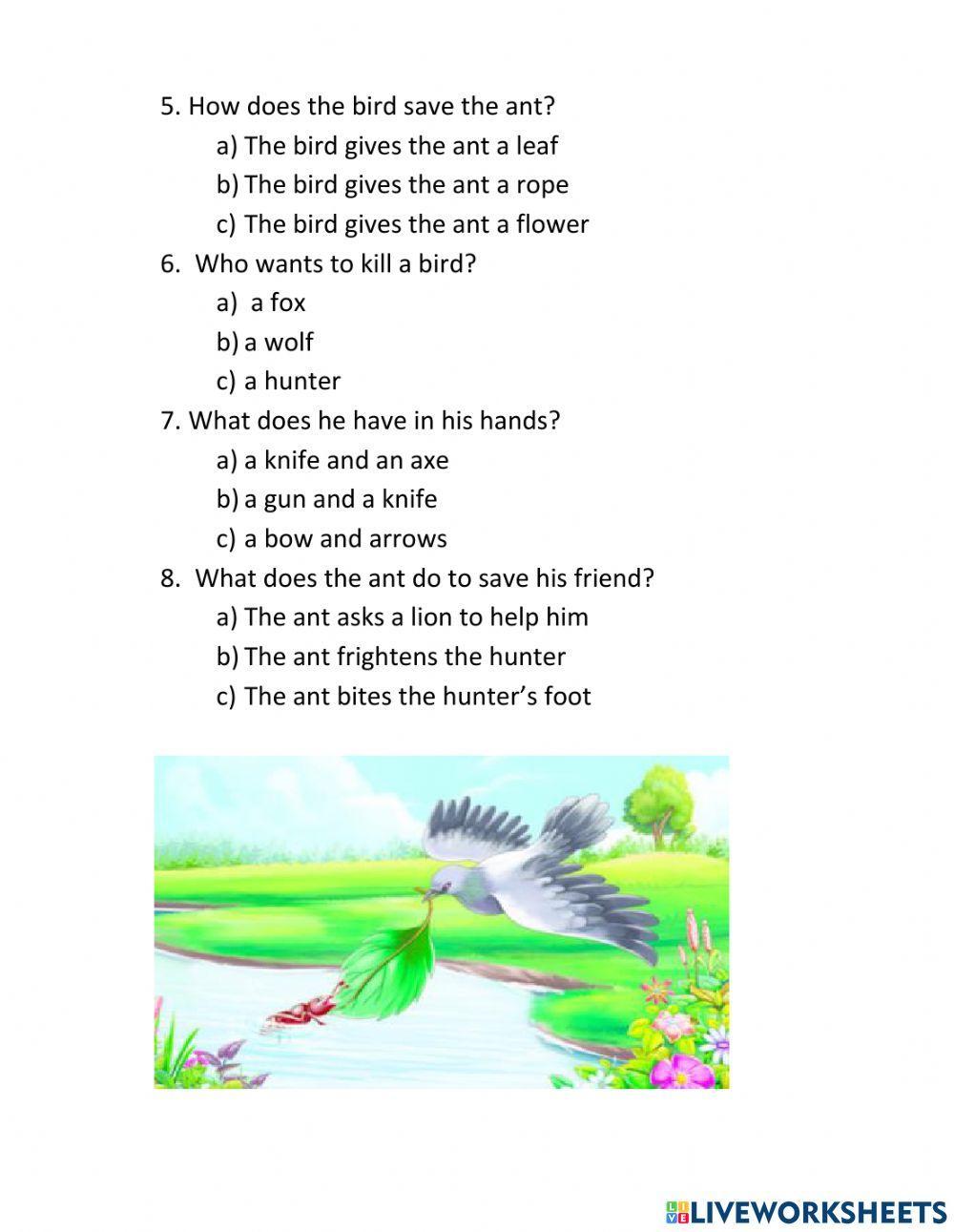 The ant and the bird