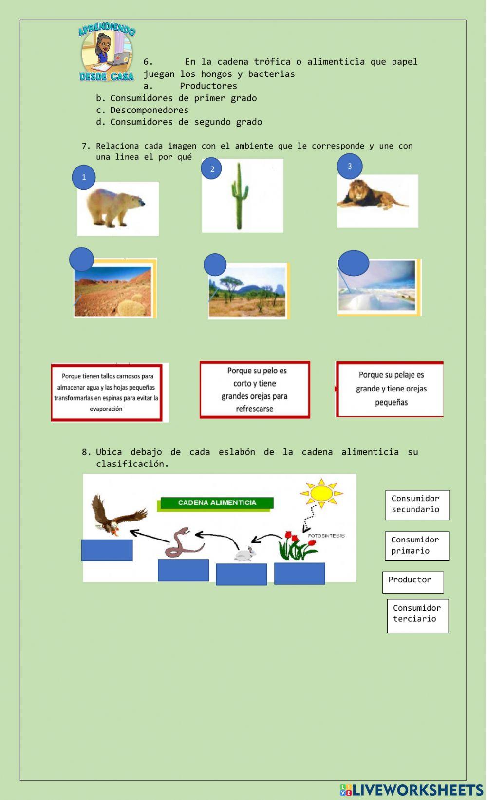 Evaluación de naturales