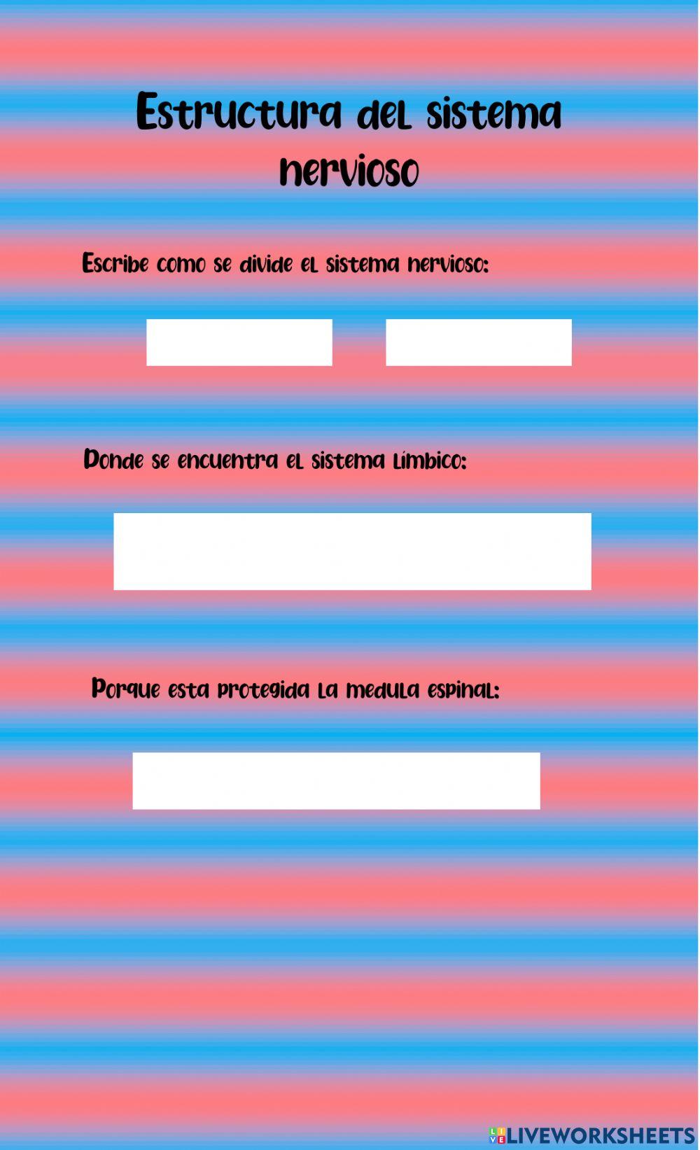 Estructura del sistema nervioso