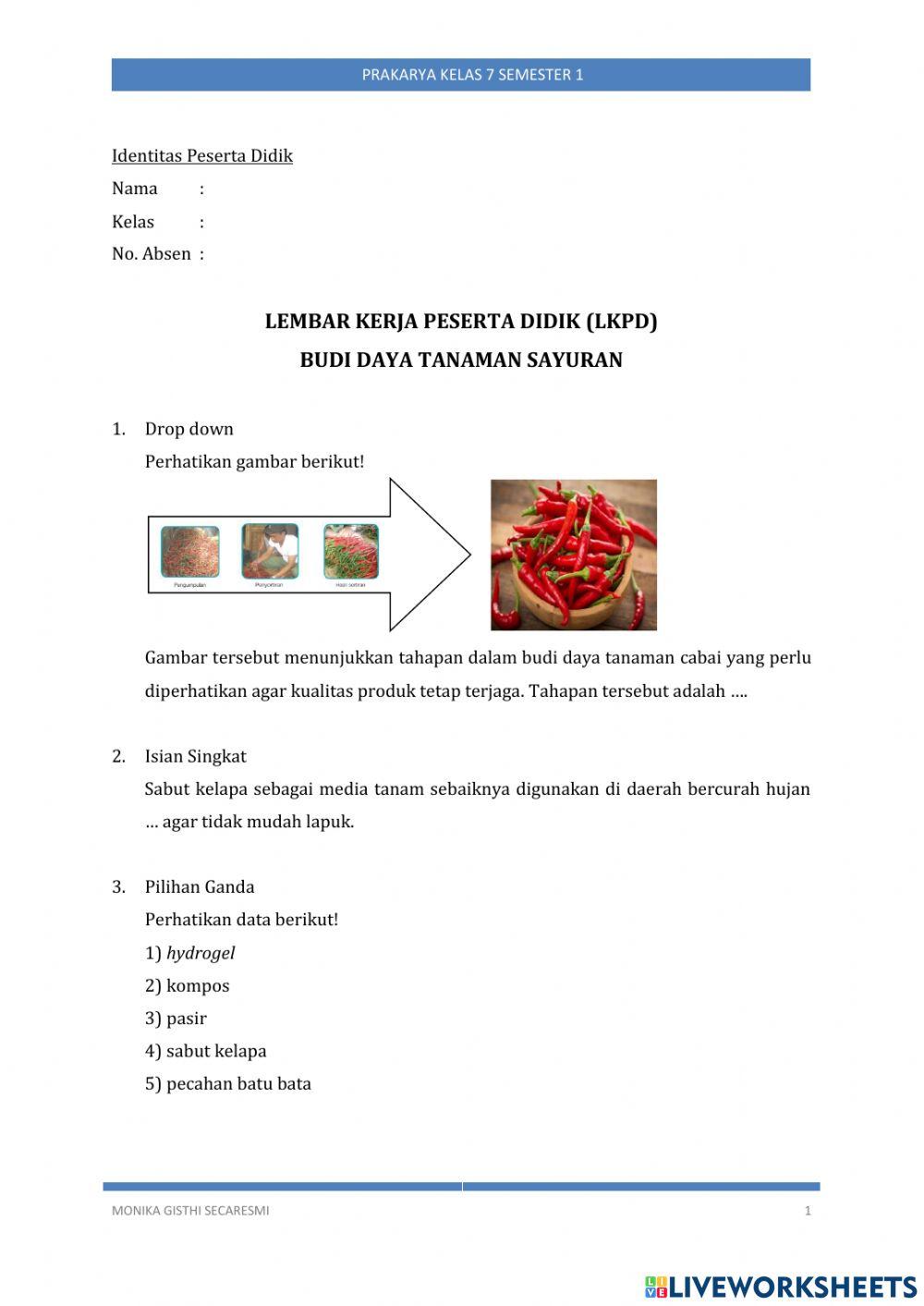 LKPD Budi Daya Tanaman Sayuran