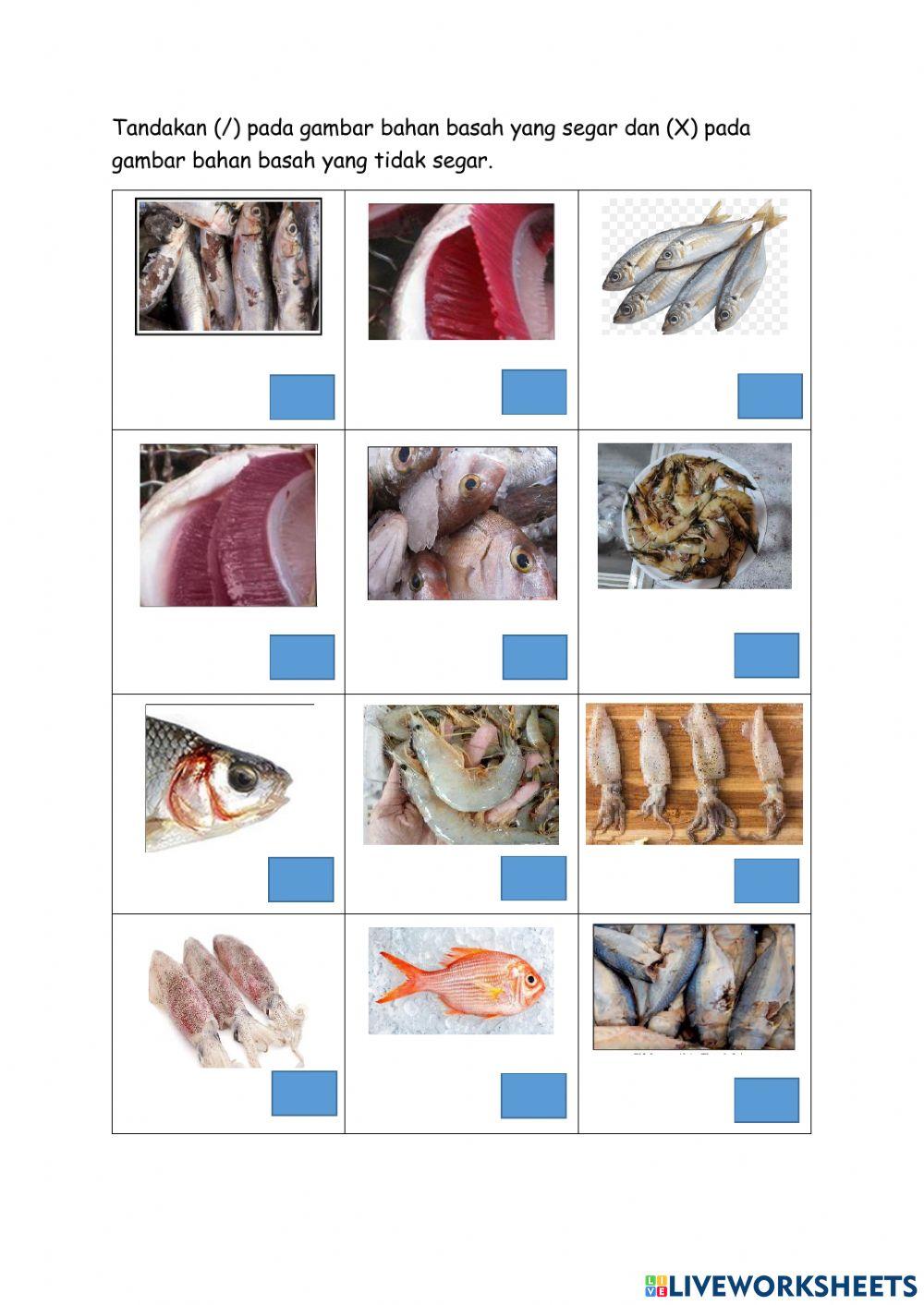 Bahan basah yang segar