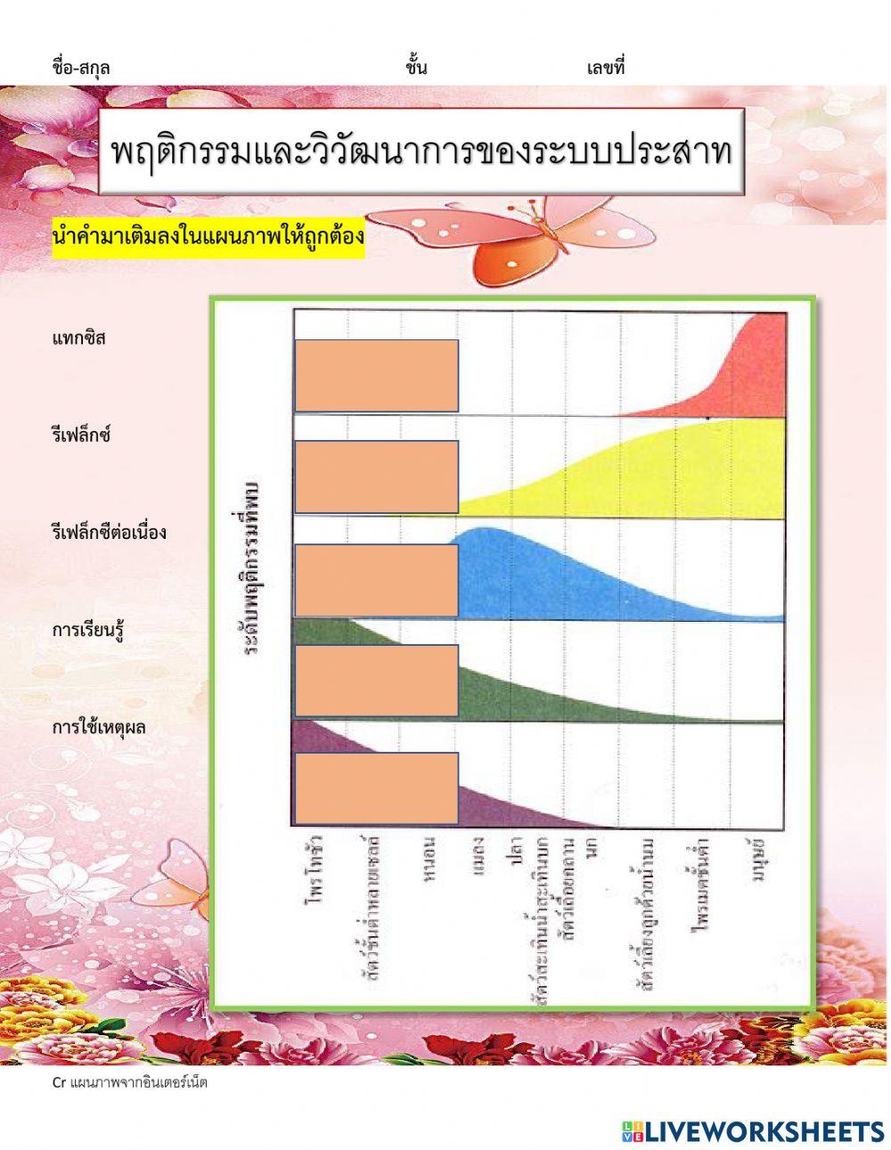 พฤติกรรมสัตว์และวิวัฒนาการของระบบประสาท
