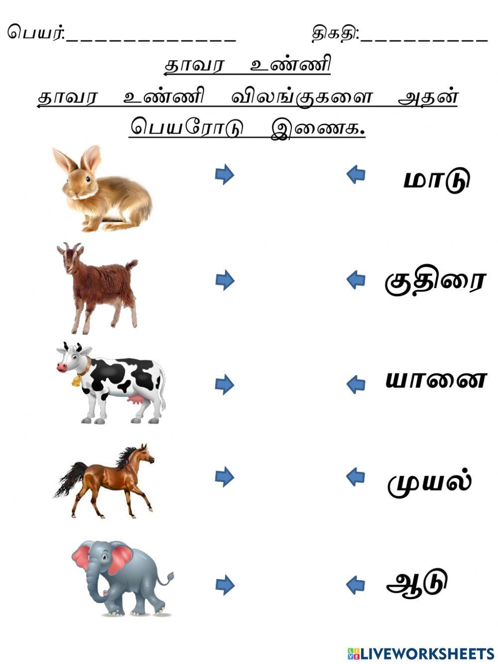 தாவர உண்ணி (பயிற்சி 1)