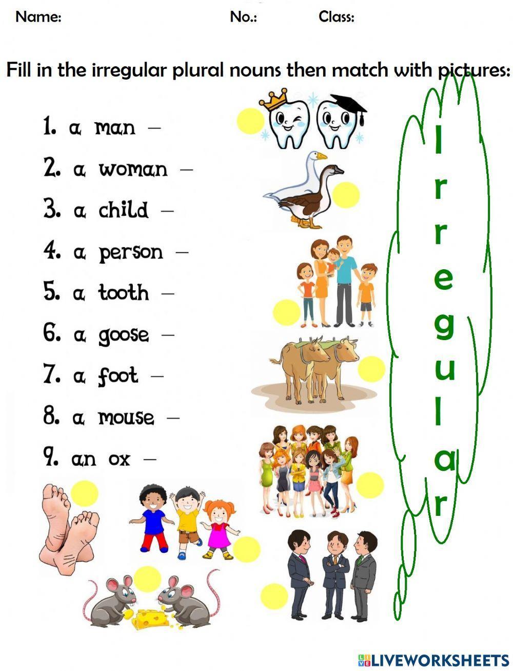 Irregular plural nouns