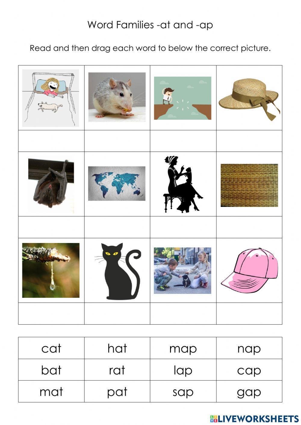 Word Families -at and -ap