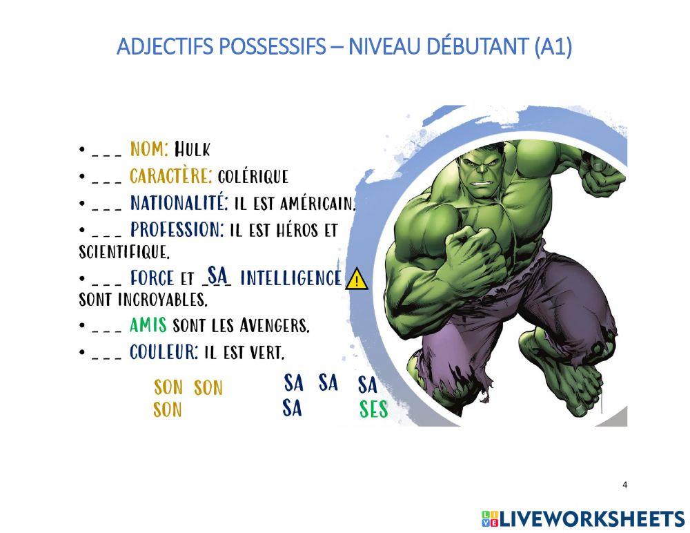 Adjectifs possessifs débutant (A1)