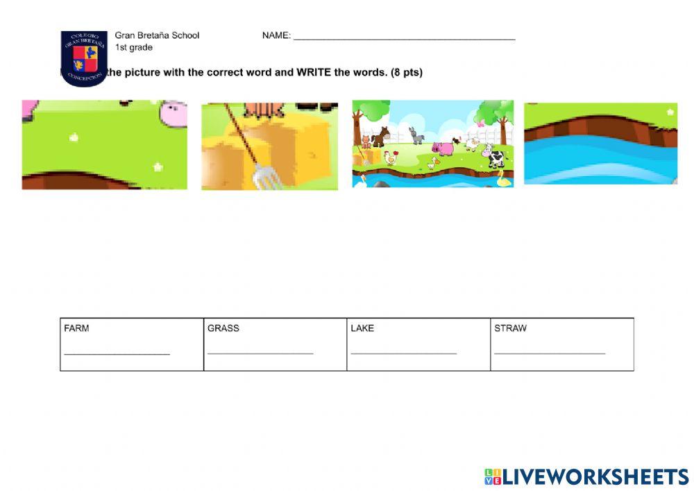 Animals from the farm