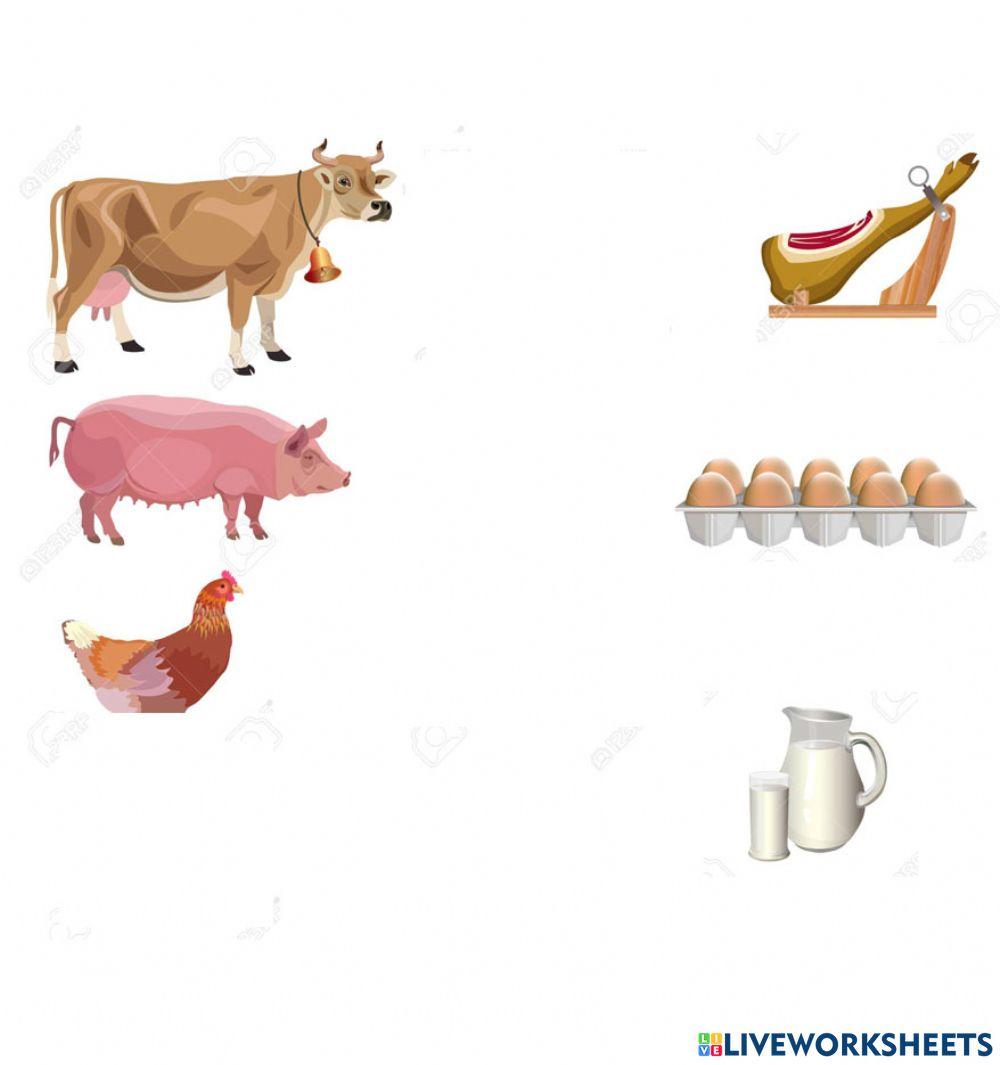 Alimentos de origen animal