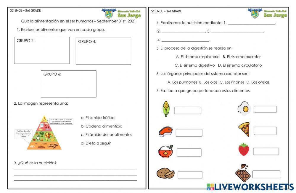 La nutrición y alimentación en el ser humano