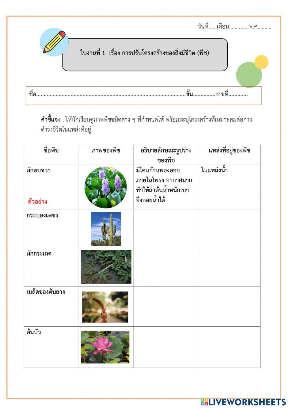 ใบงานที่ 1 และใบงาน ที่ 2 เรื่อง การปรับโครงสร้างพืชและสัตว์