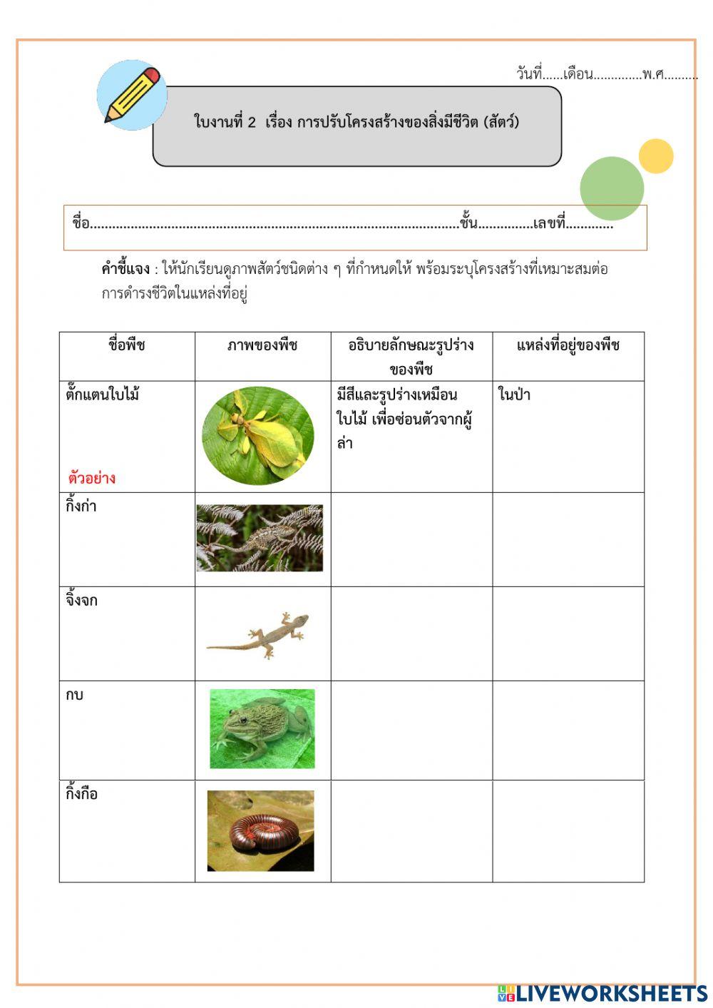 ใบงานที่ 1 และใบงาน ที่ 2 เรื่อง การปรับโครงสร้างพืชและสัตว์