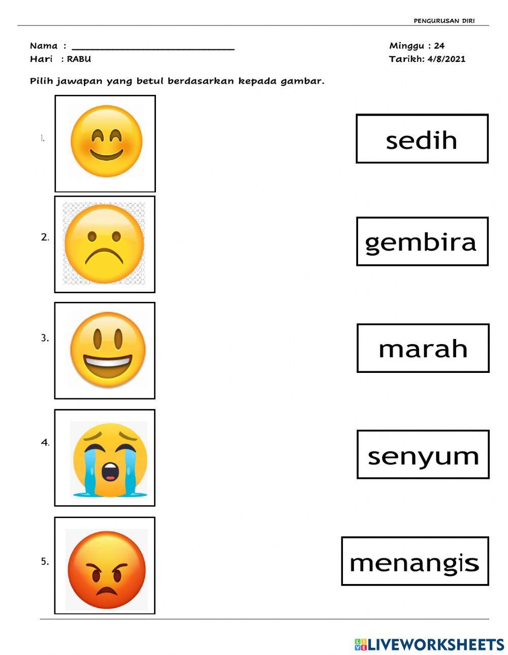 Pengurusan emosi