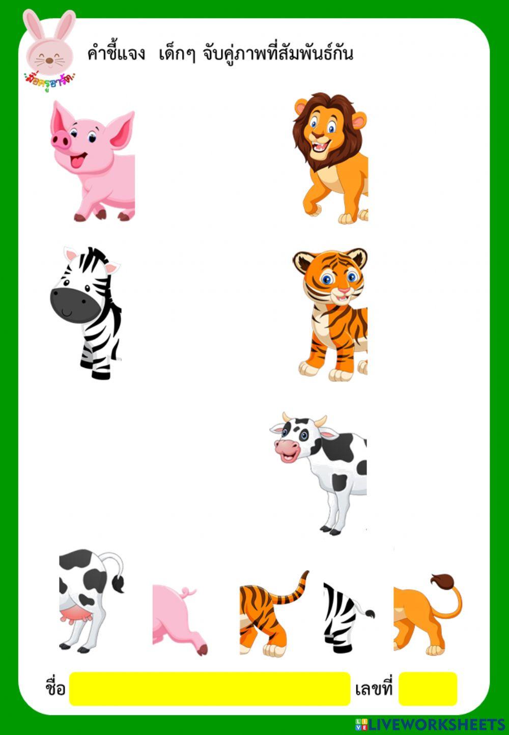 จับคู่ภาพ