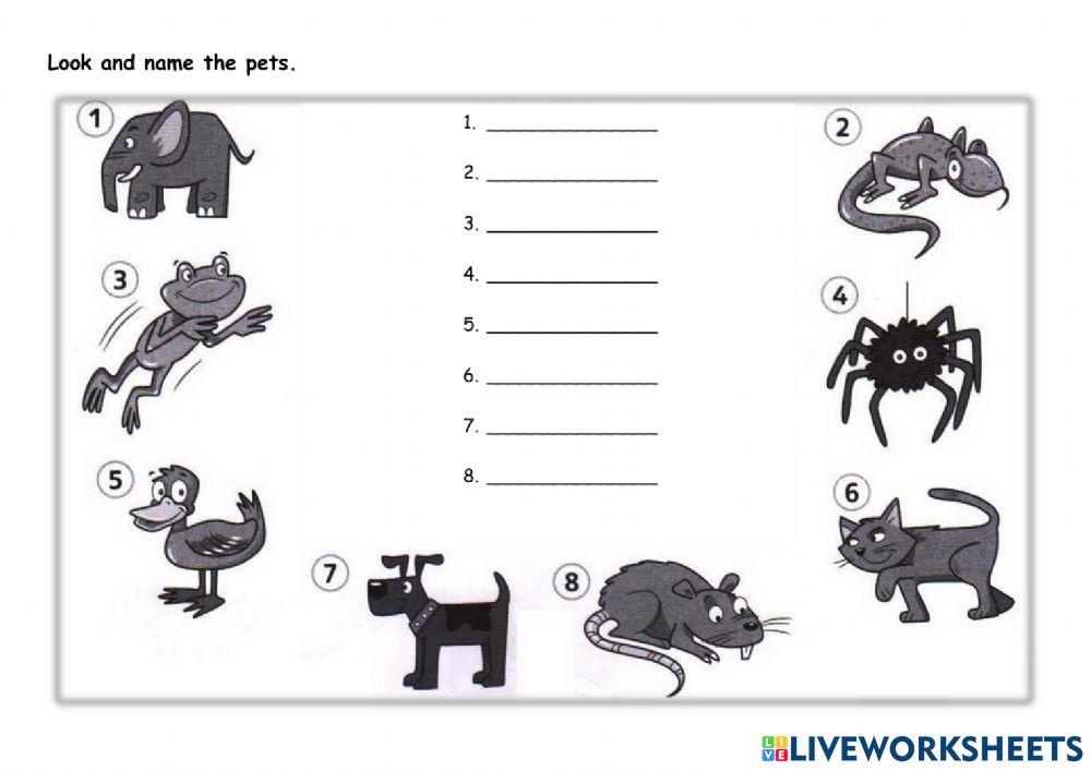 Year 1-Lesson48-Listening10-CBA2.1.5