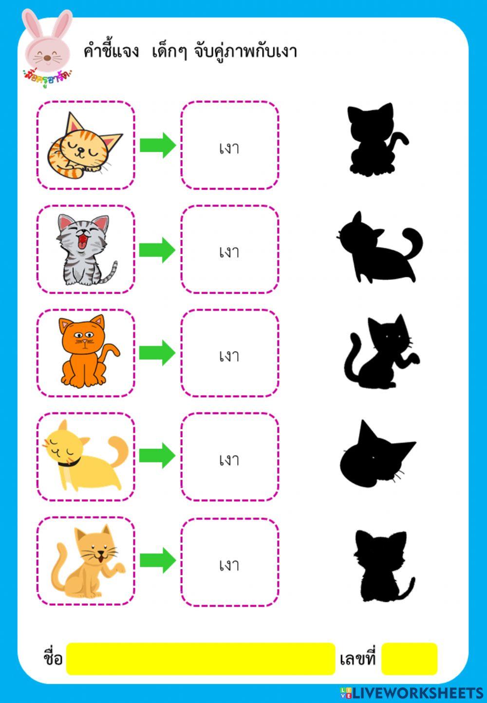 จับคู่ภาพ