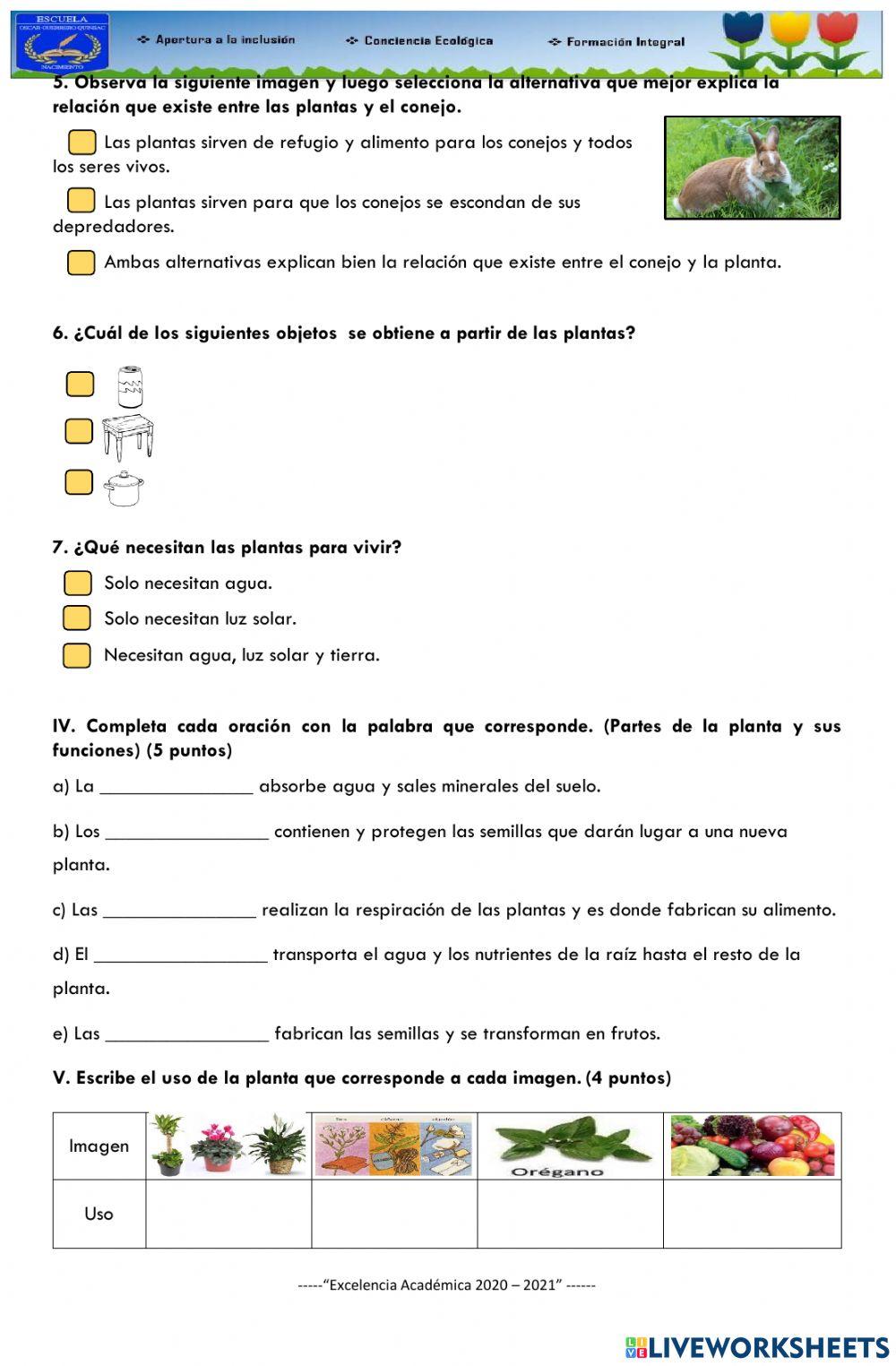 Evaluacion ciencias naturales