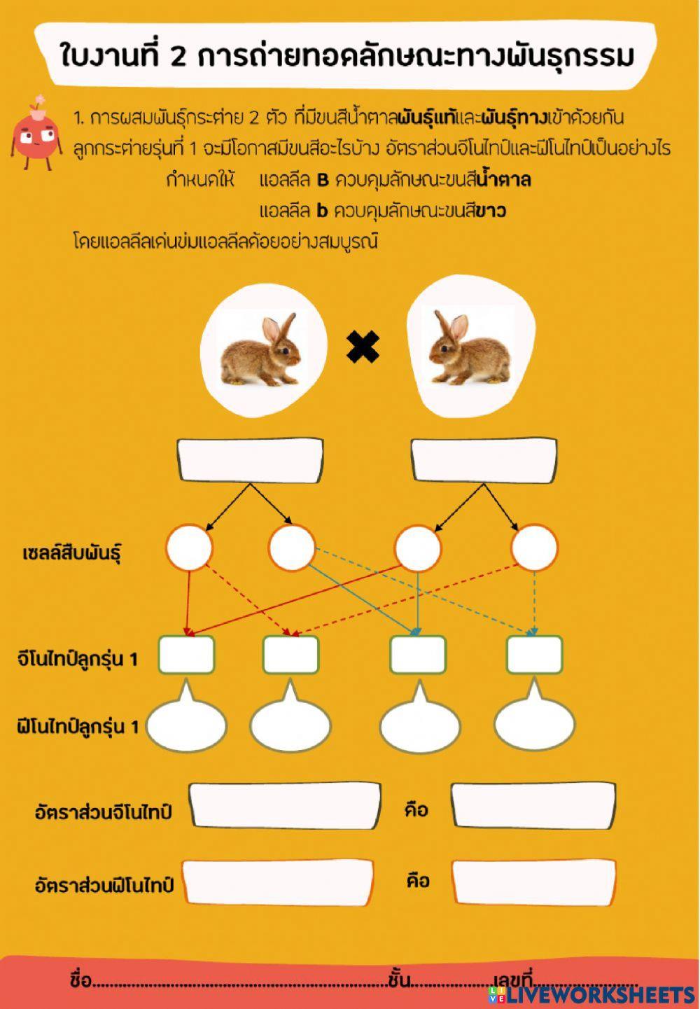พันธุกรรม