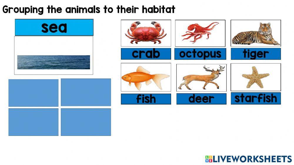 Animal habitat