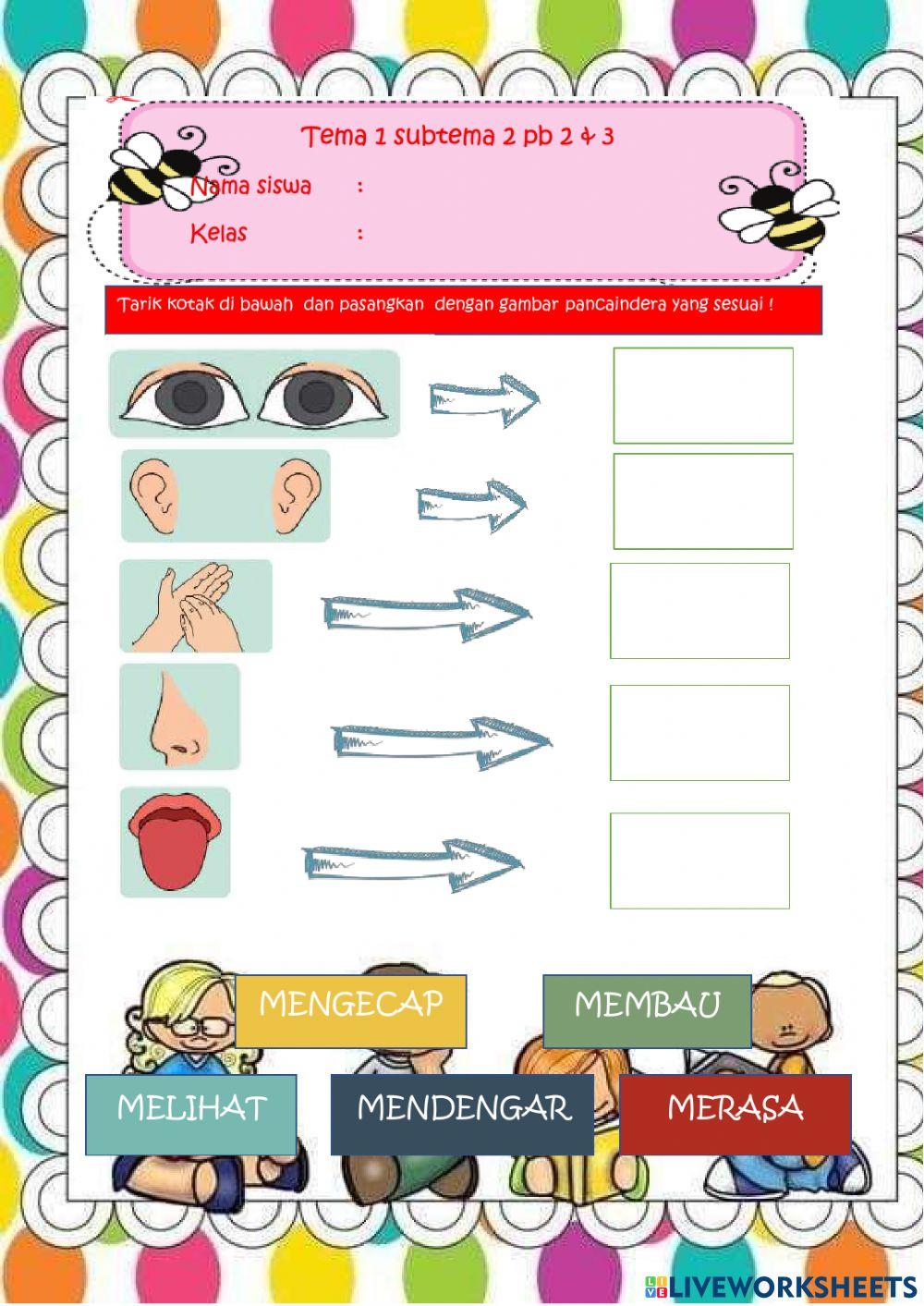 Latihan tema 1 subtema 2 pb 2.3