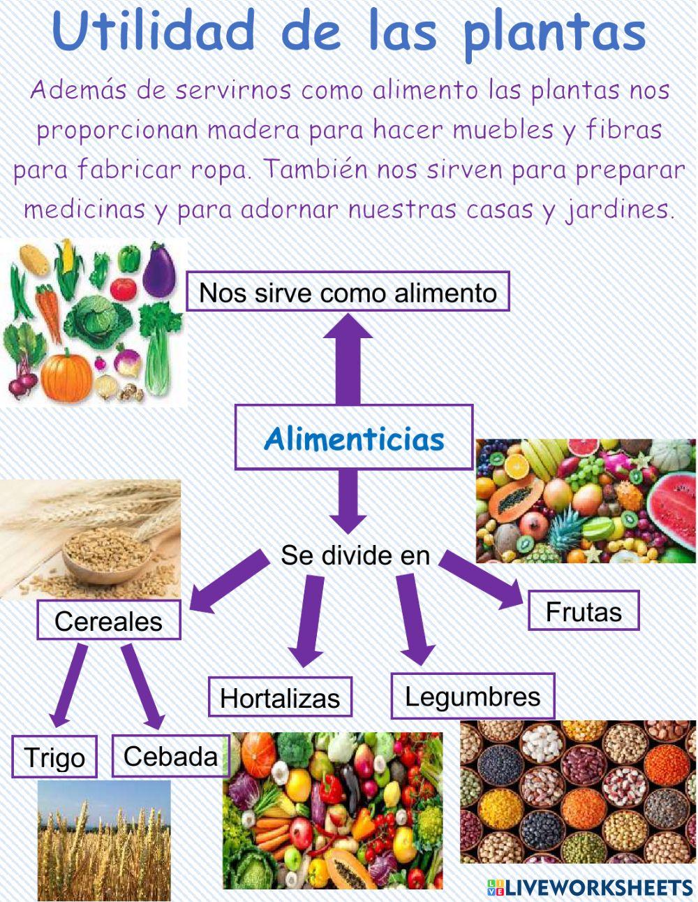 Utilidad de las plantas: Alimenticias