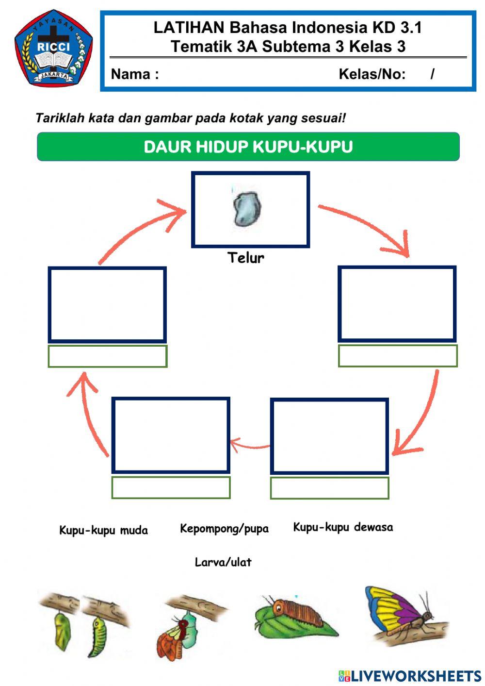 3.4 Daur Hidup Hewan Tematik 3A ST 1 dan 2