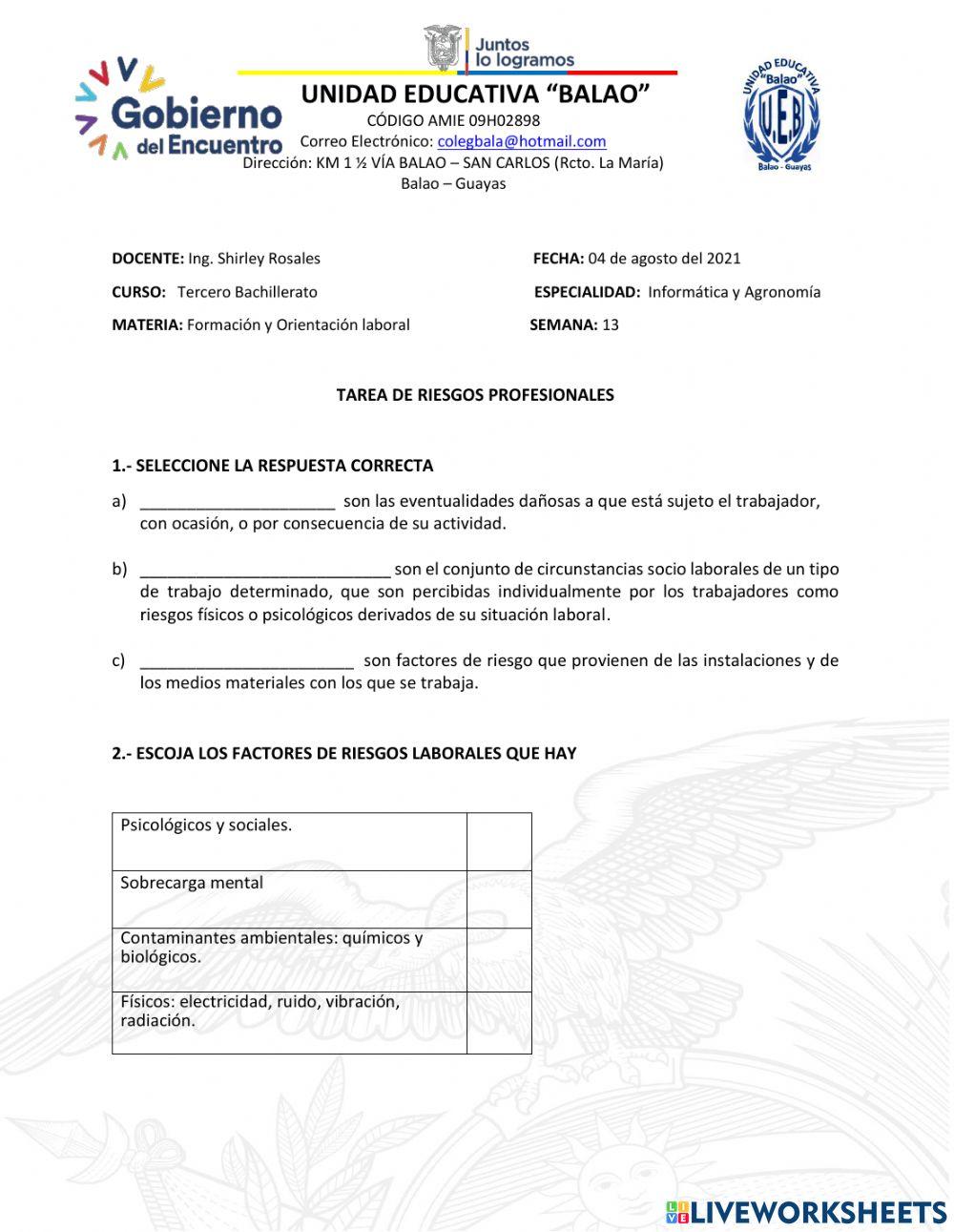 Riesgos Profesionales