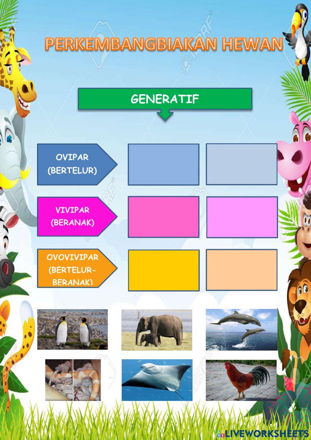 Perkembangbiakan hewan