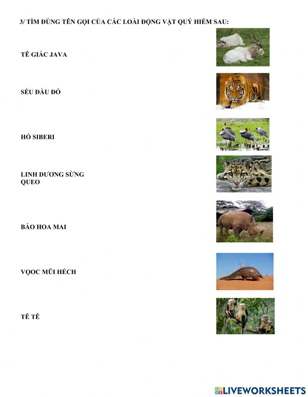 Động vật quý hiếm