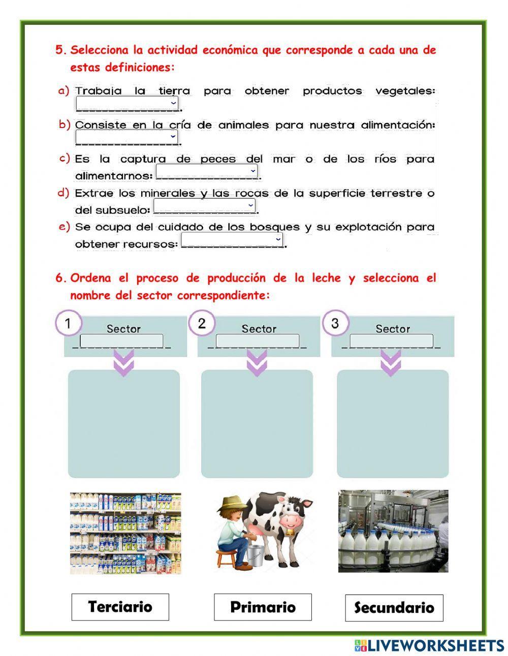 Actividades Económicas
