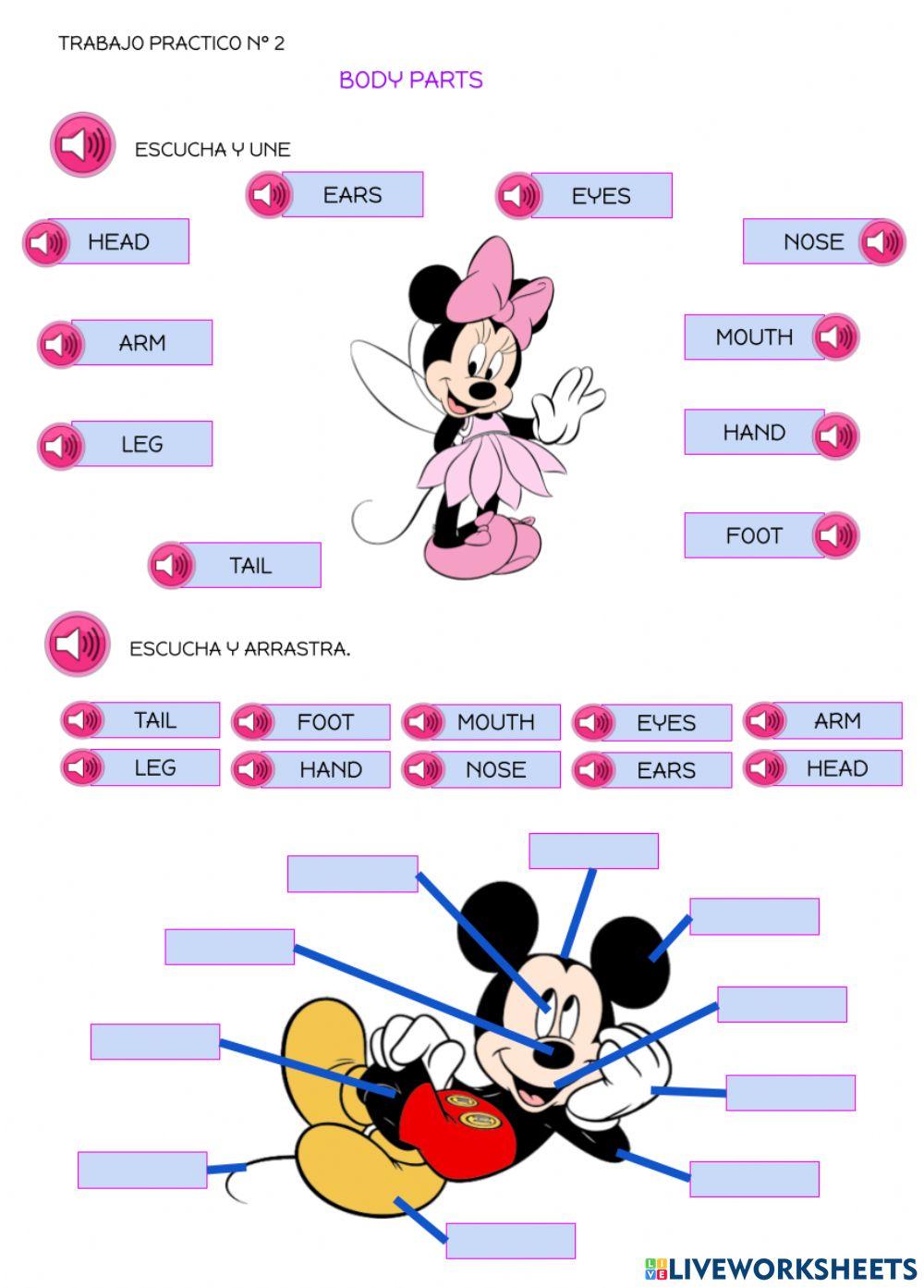 Trabajo practico body