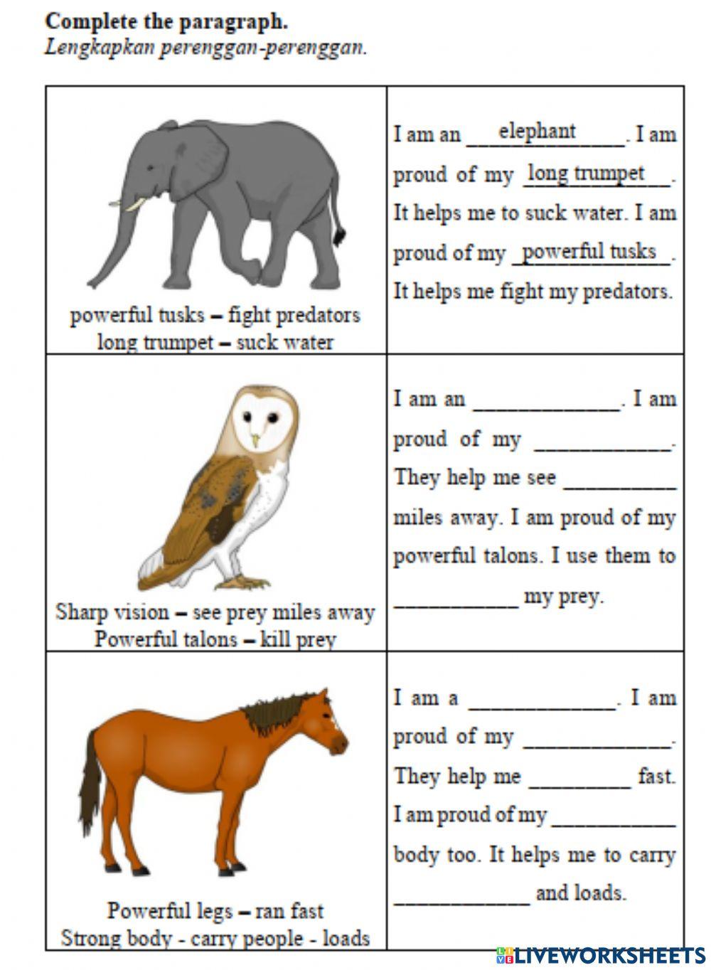 English Year 6 Live Worksheets