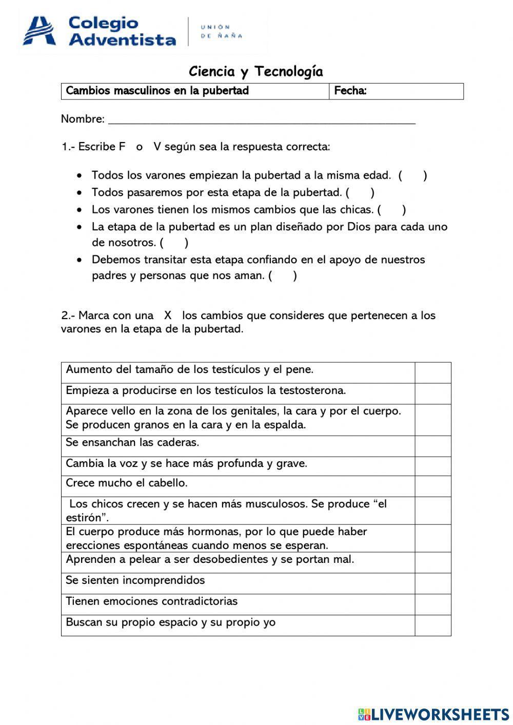 Cambios masculinos en la pubertad