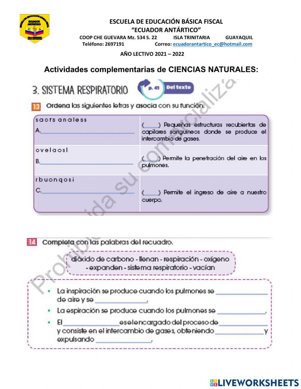 Aparatos que intervienen en la nutrición