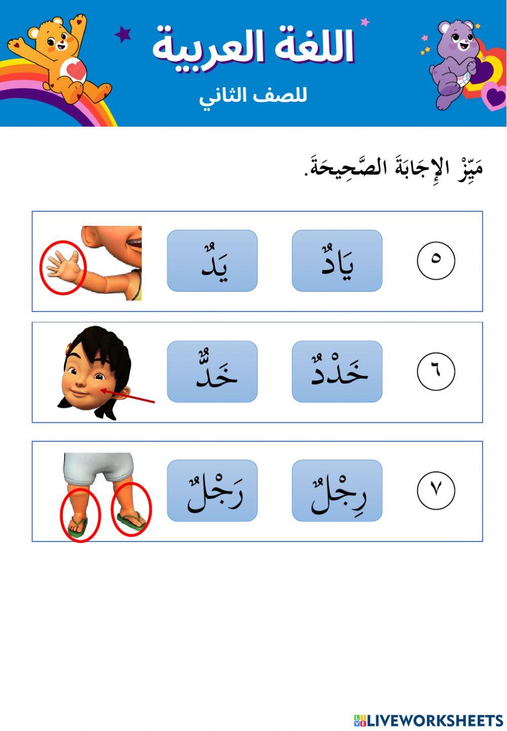 Bahasa arab - anggota badan