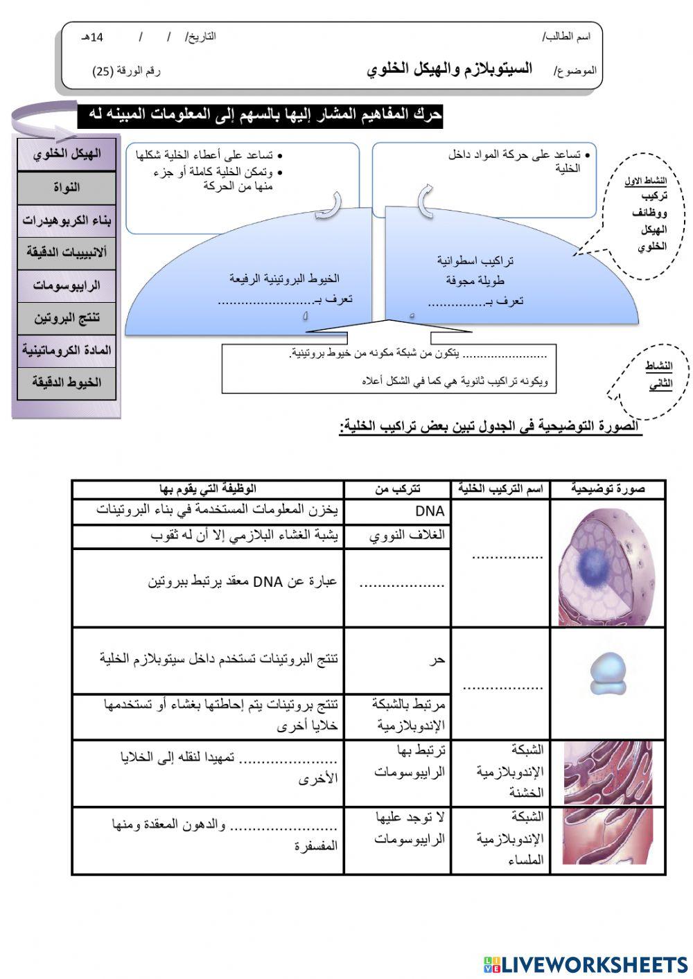 ورقة 25تفاعلية3