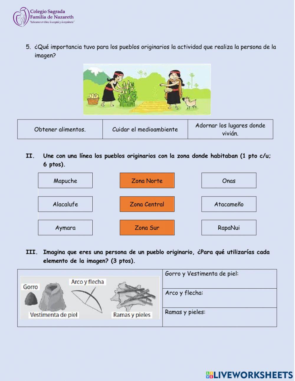 Prueba pueblos originarios